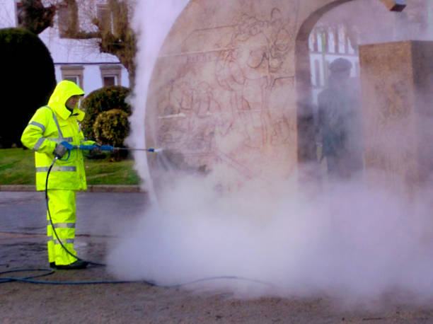 Best Best Pressure Washing Companies  in The Plains, OH